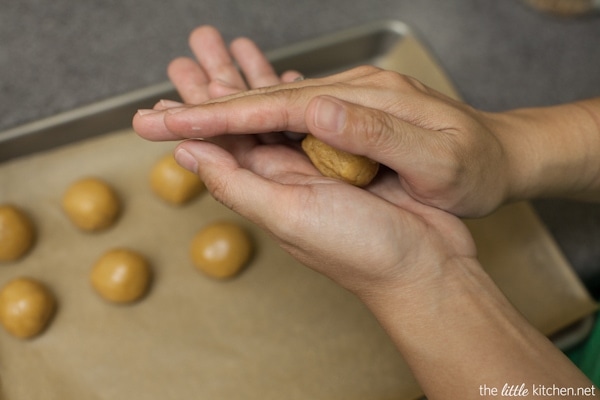 White Chocolate Cookie Butter Truffles from thelittlekiitchen.com