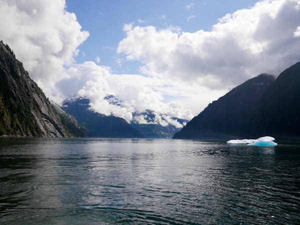 Our Favorite Alaskan Cruise Excursions thelittlekiitchen.com