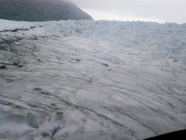 Our Favorite Alaskan Cruise Excursions thelittlekiitchen.com