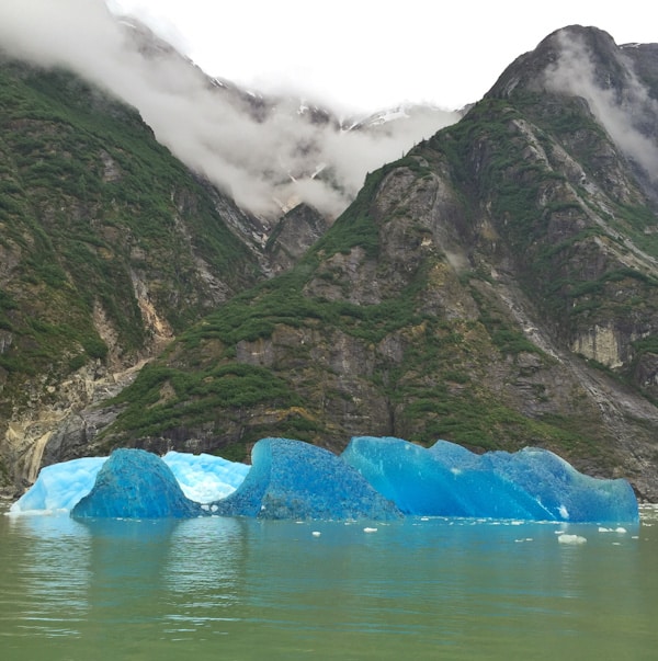 Our Favorite Alaskan Cruise Excursions thelittlekiitchen.com