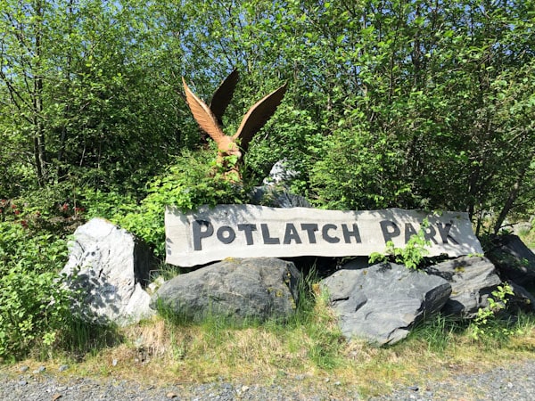 Our Favorite Alaskan Cruise Excursions thelittlekiitchen.com