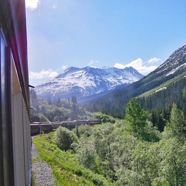 Our Favorite Alaskan Cruise Excursions thelittlekiitchen.com